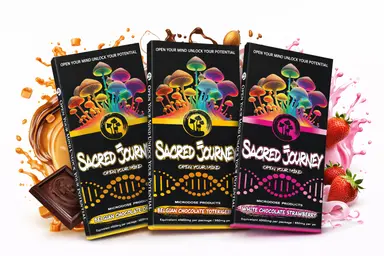 Chocolate Bars